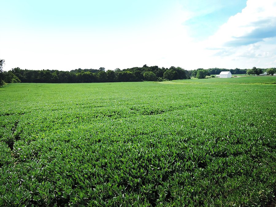 LAND AUCTION - 71+/- ACRES OFFERED IN 2 TRACTS IN DELAWARE CO., INDIANA